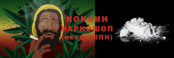 индика Алексеевка