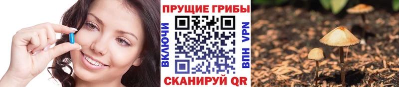 мега ONION Приозерск Псилоцибиновые грибы мицелий где можно купить наркотик